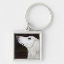 Search for saluki accessories Canine
