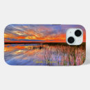 Search for scenic iphone cases Colourful
