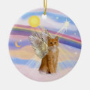 Recherche de chat orange Animaux domestiques