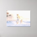Search for beautiful white horse canvas prints Horses