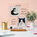 Search for dog loss quote Remembrance