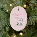 Search for lamb ornaments Pink