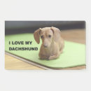 Search for dachshund post it notes Sausage dog