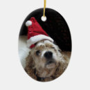 Search for cocker spaniel ornaments Santa
