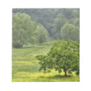 Search for field notepads Europe