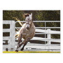 Search for free running posters Equine