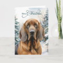 Search for bloodhound christmas cards Pets