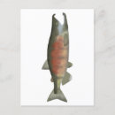 Recherche de spermies cartes postales Pour tous