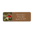 Search for acorns return address labels Nature