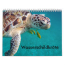 Search for tortoise office supplies Turtle