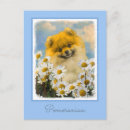 Search for pom pom postcards Puppy