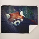Search for red panda blankets Animal