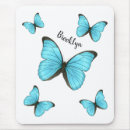 Recherche de morpho tapis souris Insecte