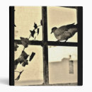 Search for dove binders Bird