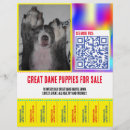 Recherche de chiot prospectus Alano