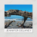 Search for driftwood Ocean