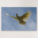 Search for cockatoo bird puzzles Australia