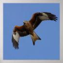Recherche de cerfs volants posters Toute personne