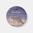 Search for snow white magnets Arctic fox