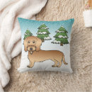 Recherche de dur coussins Doxie