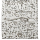 Search for anatomy bathroom accessories Illustration