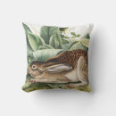 Search for lepus Wildlife