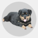 Recherche de rottweil stickers Rotation