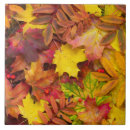 Recherche de automne carreaux Rouge