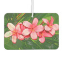 Search for hawaiian car air fresheners Island