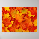 Search for autumn background posters Maple