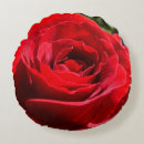 Search for bright floral pillows Rose