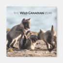 Search for docs magnets The wild canadian year