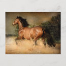 Recherche de galoper cartes postales Équin