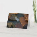 Search for white feather cards Nature