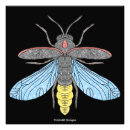 Search for firefly art Bug