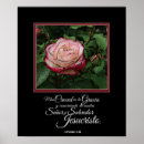 Recherche de espagnol posters Rose