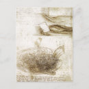 Search for studying postcards Studies
