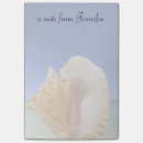 Search for mollusks Nautical