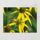 Search for bee lovers postcards Honey