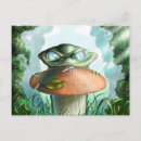 Search for frog drawing postcards Nature