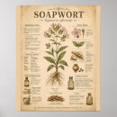 Search for infographic posters Design