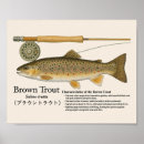 Recherche de pêche à la mouche posters Truite brune