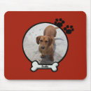 Recherche de cabot électronique Chien