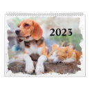 Search for more calendars Cat