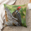 Search for portrait pillows Wildlife photography