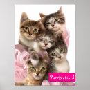 Recherche de chaton adorable posters Chats