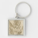 Search for foliage of keychains Botanical