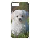 Search for maltese dog iphone cases Pet