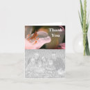 Search for azalea cards Nature