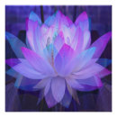Recherche de lotus posters Floral